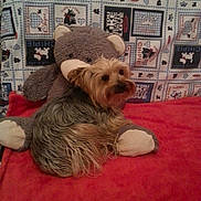 Finckie participe au concours pour gagner de l'argent avec cette photo :