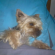 Mara participe au concours pour gagner de l'argent avec cette photo :