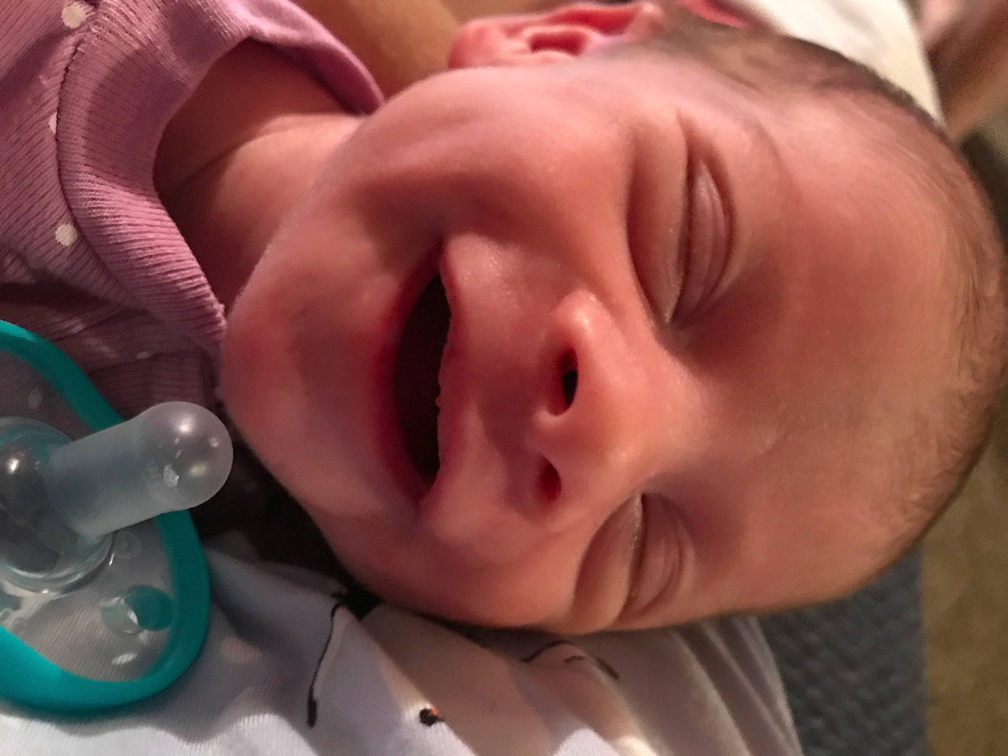 Jersey joined the competition — help win amazing prizes! baby, cheek, chin, comfort, ear, eyebrow, eyelash, finger, forehead, fun, happy, headgear, iris, lip, mouth, neck, nose, person, skin, smile