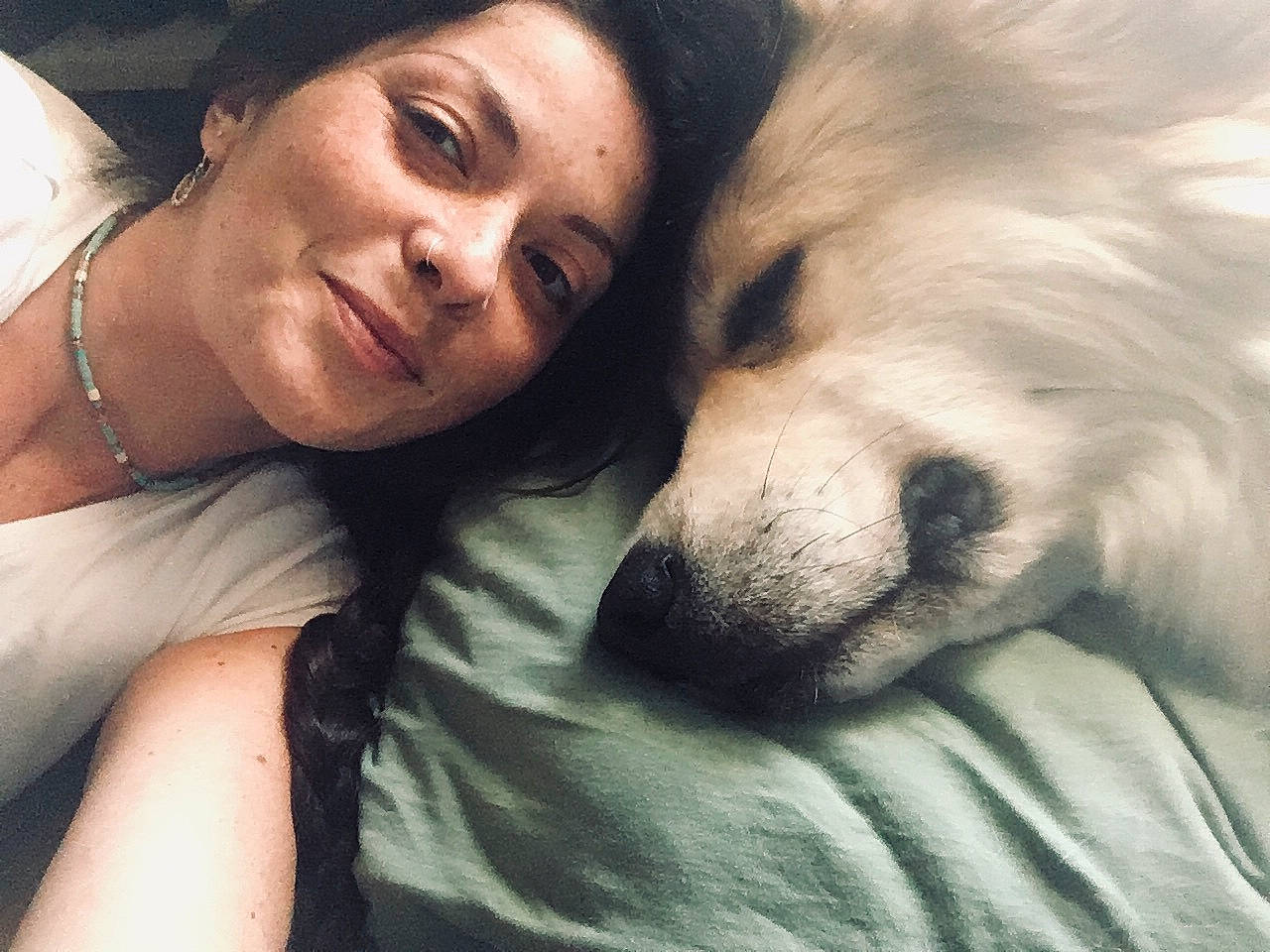 Volga a rejoint le concours — aidez-le/la à gagner de superbes lots ! black_hair, canidae, carnivore, companion_dog, dog, dog_breed, fur, mouth, nose, puppy_love, snout