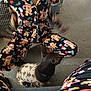 black_dog, brown_dog, carpet, casual, cozy, dog, floor, gingerbread, holiday_theme, home, indoor, interaction, matching_outfits, pajamas, patterned_pajamas, person, pet, pet_clothing, playful, seated