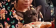 Storm joined the competition — help win amazing prizes! black_dog, braided_hair, child, close_up, cozy, cute, dog, gingerbread_man, hand, headband, holiday_theme, indoor, pajamas, person, phone, plush_toy, relaxed, seated, smiling, toy