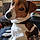 Idefix