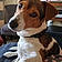 Idefix