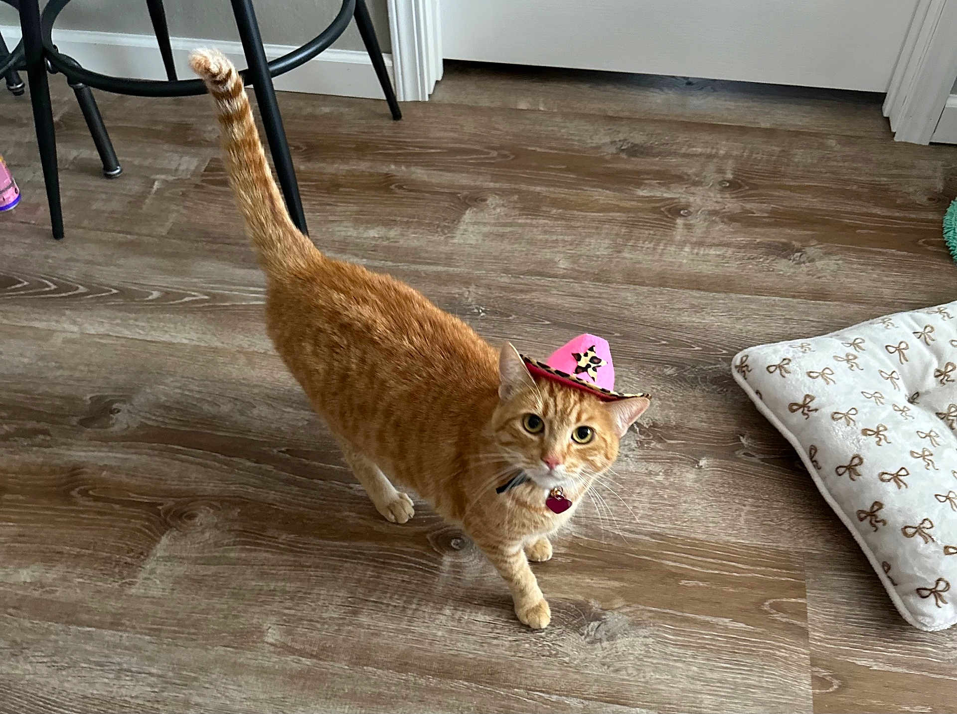 Ginger