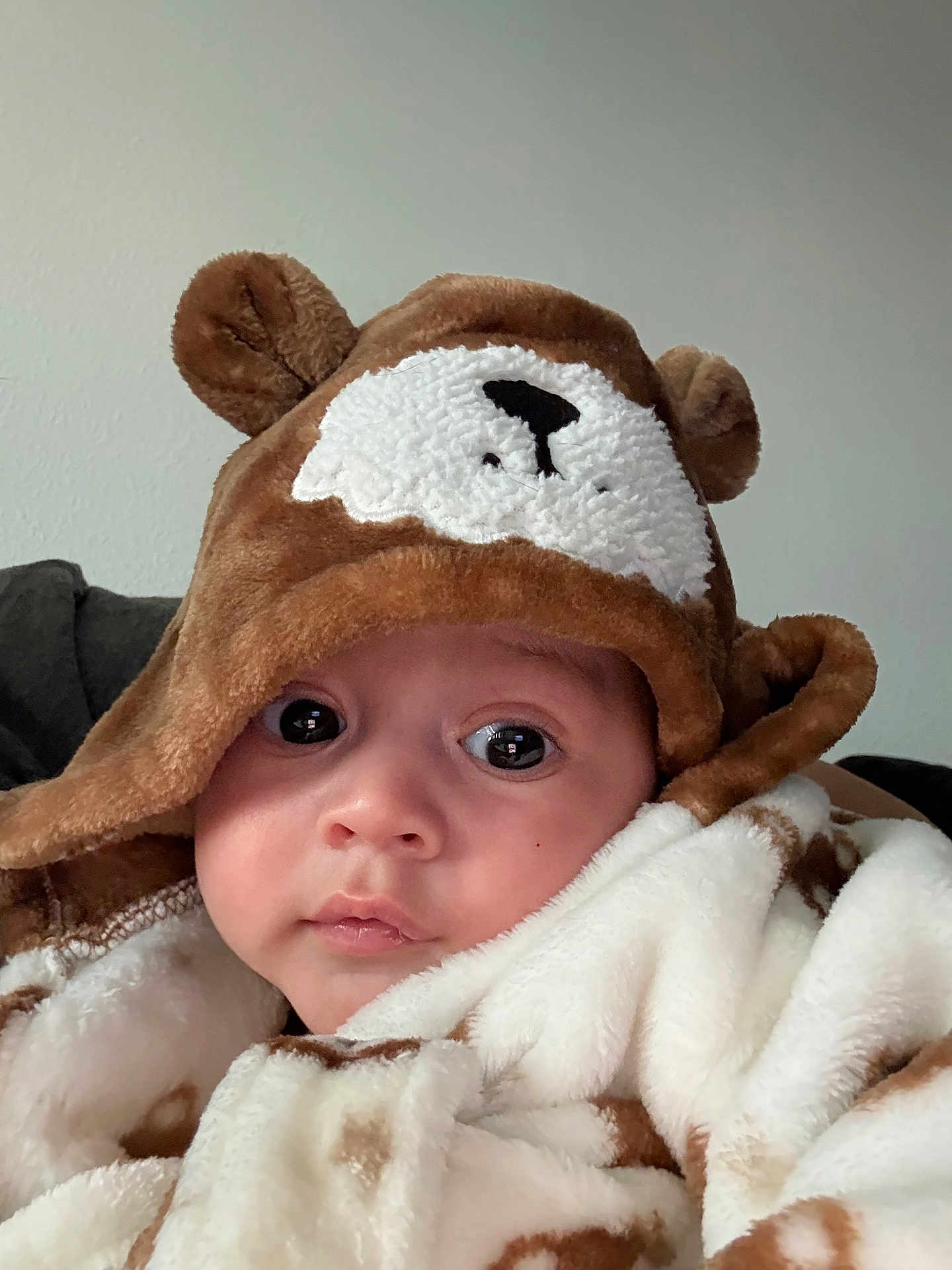 Mateo joined the competition — help win amazing prizes! baby, child, face, hoodie, bear_costume, blanket, soft_texture, cute, indoor, portrait, young_child, warm_clothing, expression, closeup, person, cozy, infant, wearing, headwear, animal_theme
