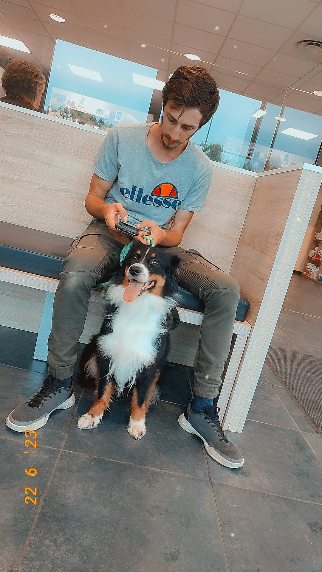 Chipie participe au concours pour gagner de l'argent avec cette photo : border_collie, carnivore, companion_dog, dog, dog_breed, eyewear, footwear, fur, goggles, herding_dog, jeans, king_charles_spaniel, leg, shoe, sitting, smile, sneakers, sunglasses, t_shirt, toy_dog