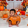 baby, pumpkin, fall, autumn, holiday, cute, child, orange, decor, flowers, hay, seasonal, indoors, portrait, sitting, festive, holiday_theme, smile, person, celebration