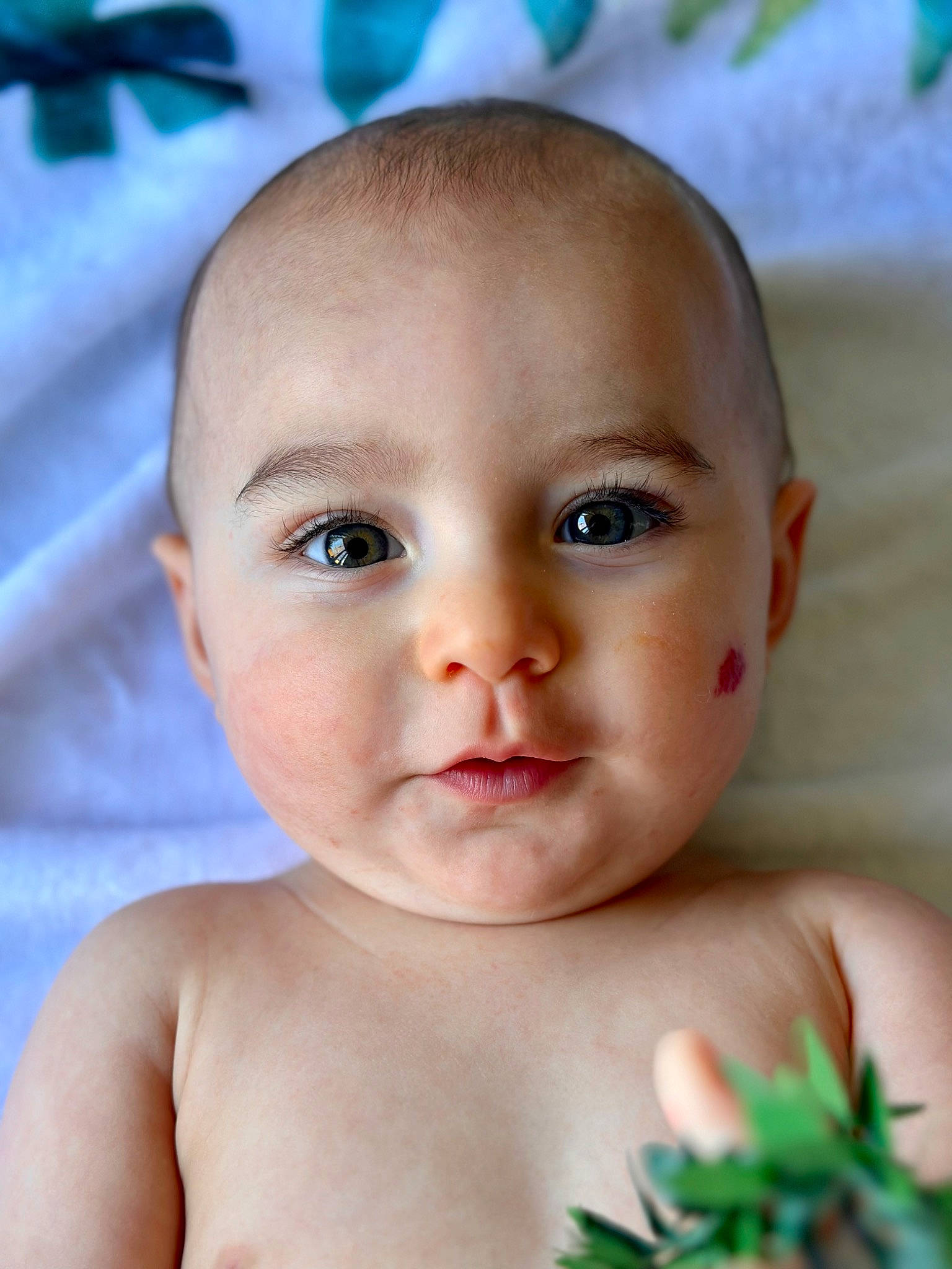 Kayden is registered to the contest to win money with this photo: baby, cheek, chin, eye, eyebrow, eyelash, facial_expression, finger, forehead, happy, human_body, iris, lip, muscle, neck, nose, organ, person, plant, skin