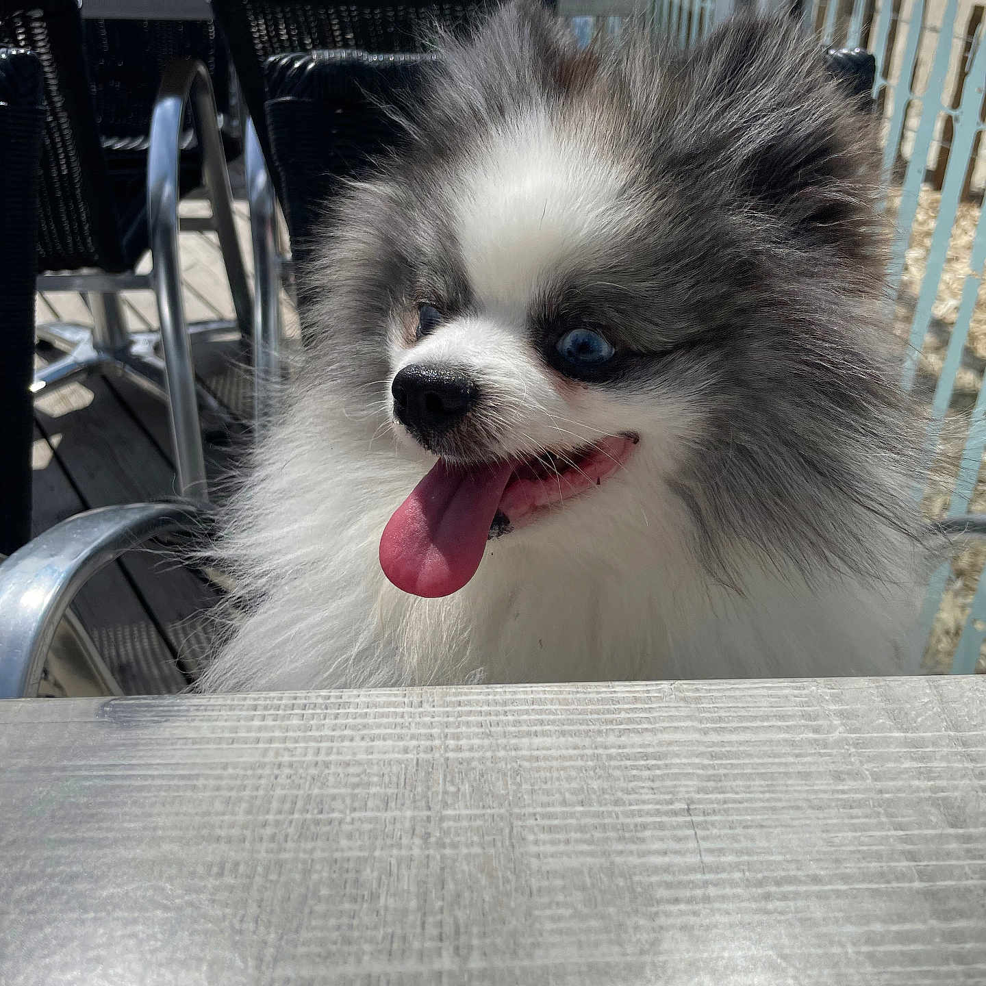 Vinny