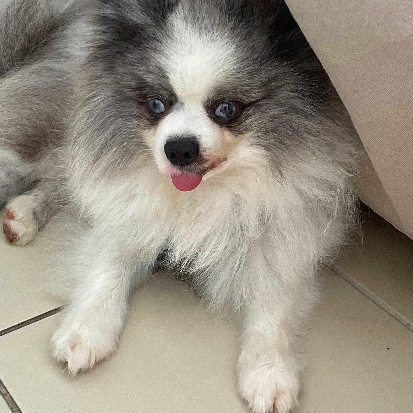 Vinny