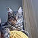 Nala