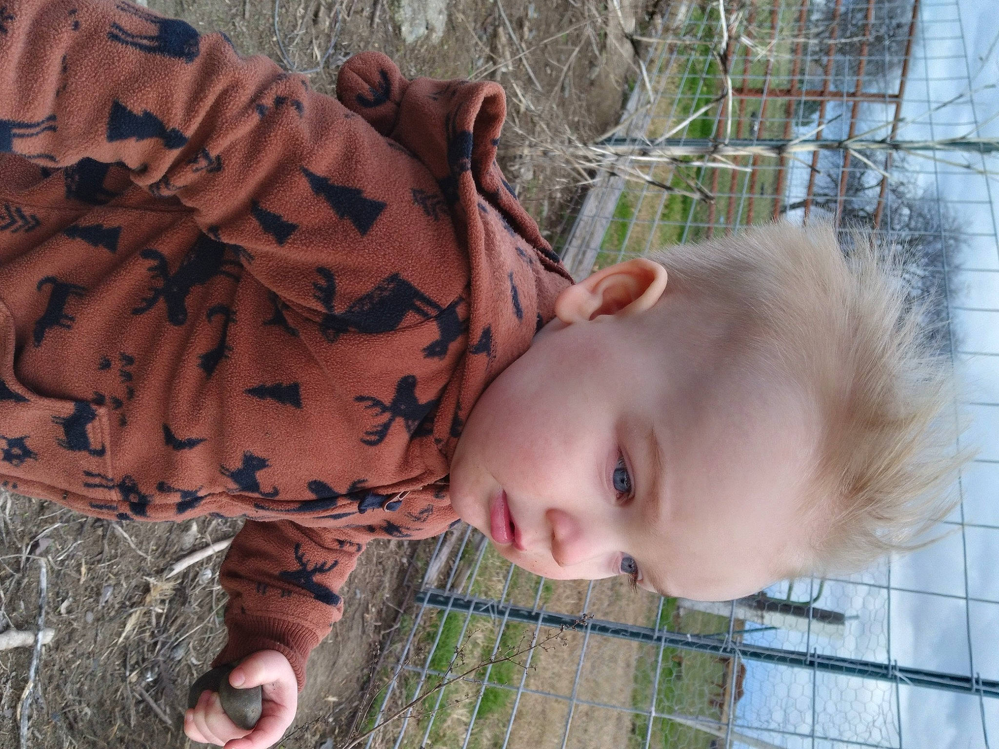 Leland joined the competition — help win amazing prizes! adaptation, baby, baby_toddler_clothing, eye, fawn, grass, grass_family, happy, head, nose, organ, pattern, people_in_nature, person, photograph, plant, skin, sunglasses, toddler, tree