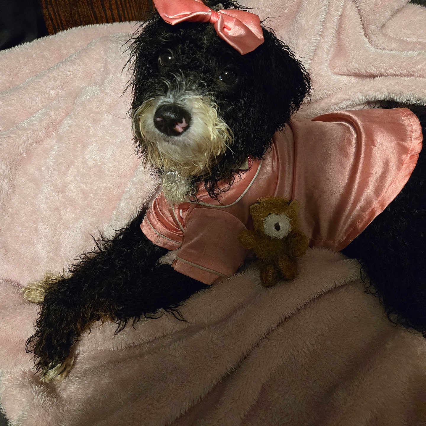 Stella Rose