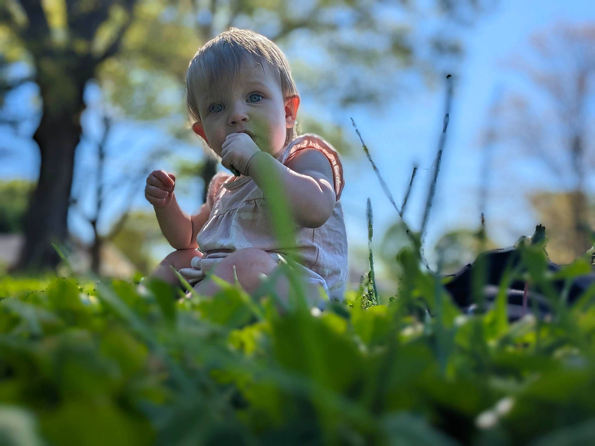 Junie joined the competition — help win amazing prizes! baby, child, flash_photography, fun, gesture, grass, grass_family, grassland, happy, landscape, leisure, meadow, natural_landscape, people_in_nature, person, plant, sky, thumb, toddler, tree