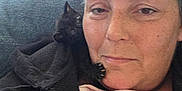Loki is registered to the contest to win money with this photo: black_cat, blanket, casual, cat, close_up, comfort, couch, cozy, face, fur, home, indoor, jacket, kitten, person, pet, relaxed, snuggling, window_blinds, zipper