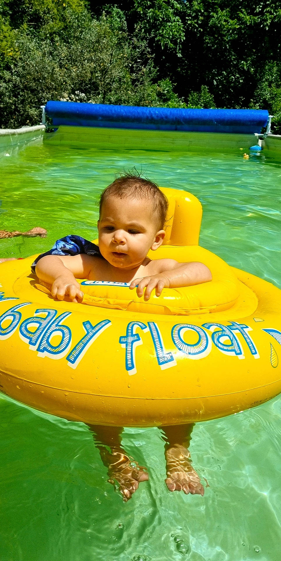 Zoé participe au concours pour gagner de l'argent avec cette photo : aqua, baby, baby_float, blue, botany, child, fun, grass, green, happy, leisure, outdoor_recreation, person, photograph, plant, recreation, summer, toddler, tubing, water