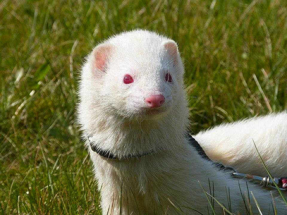 No'z participe au concours pour gagner de l'argent avec cette photo :