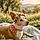 Misti Rain