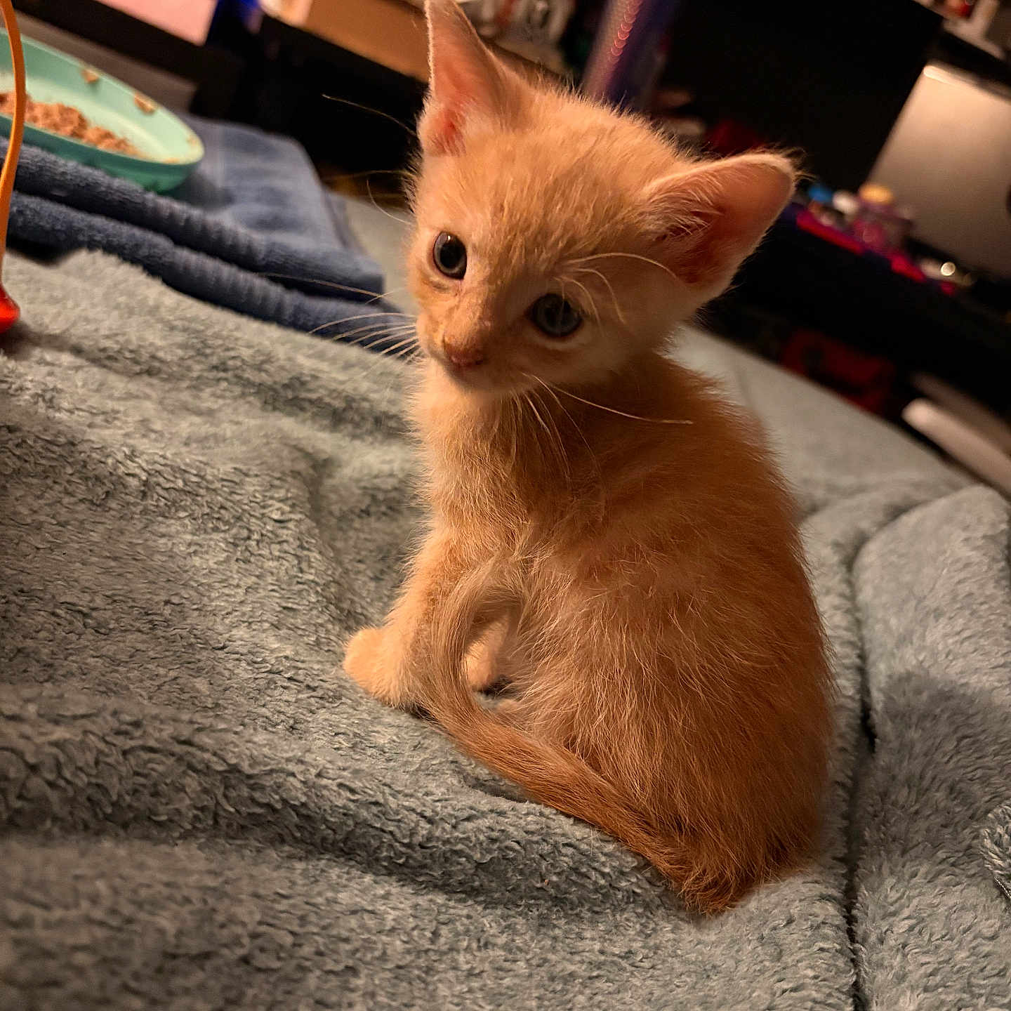 Oliver
