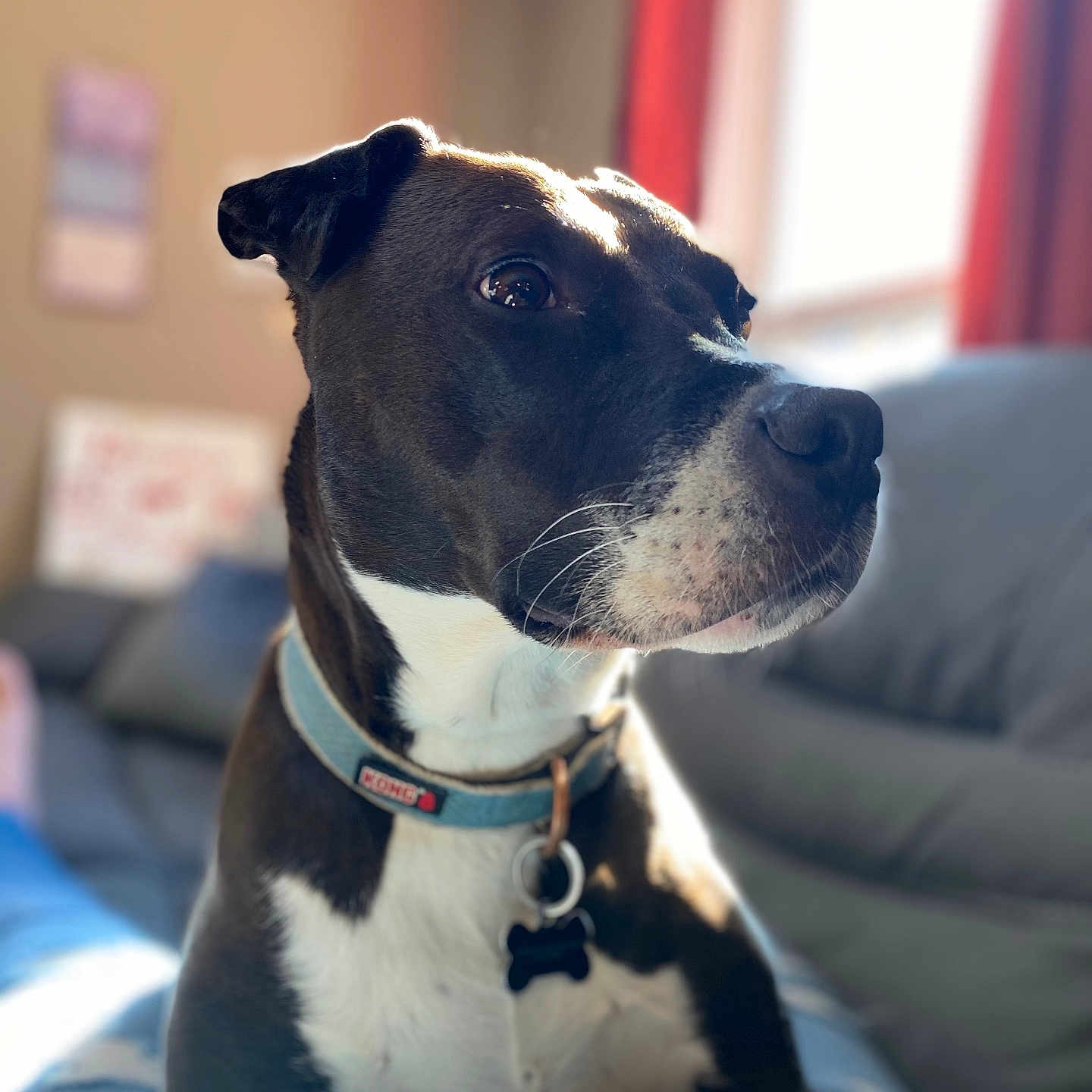 Gunner