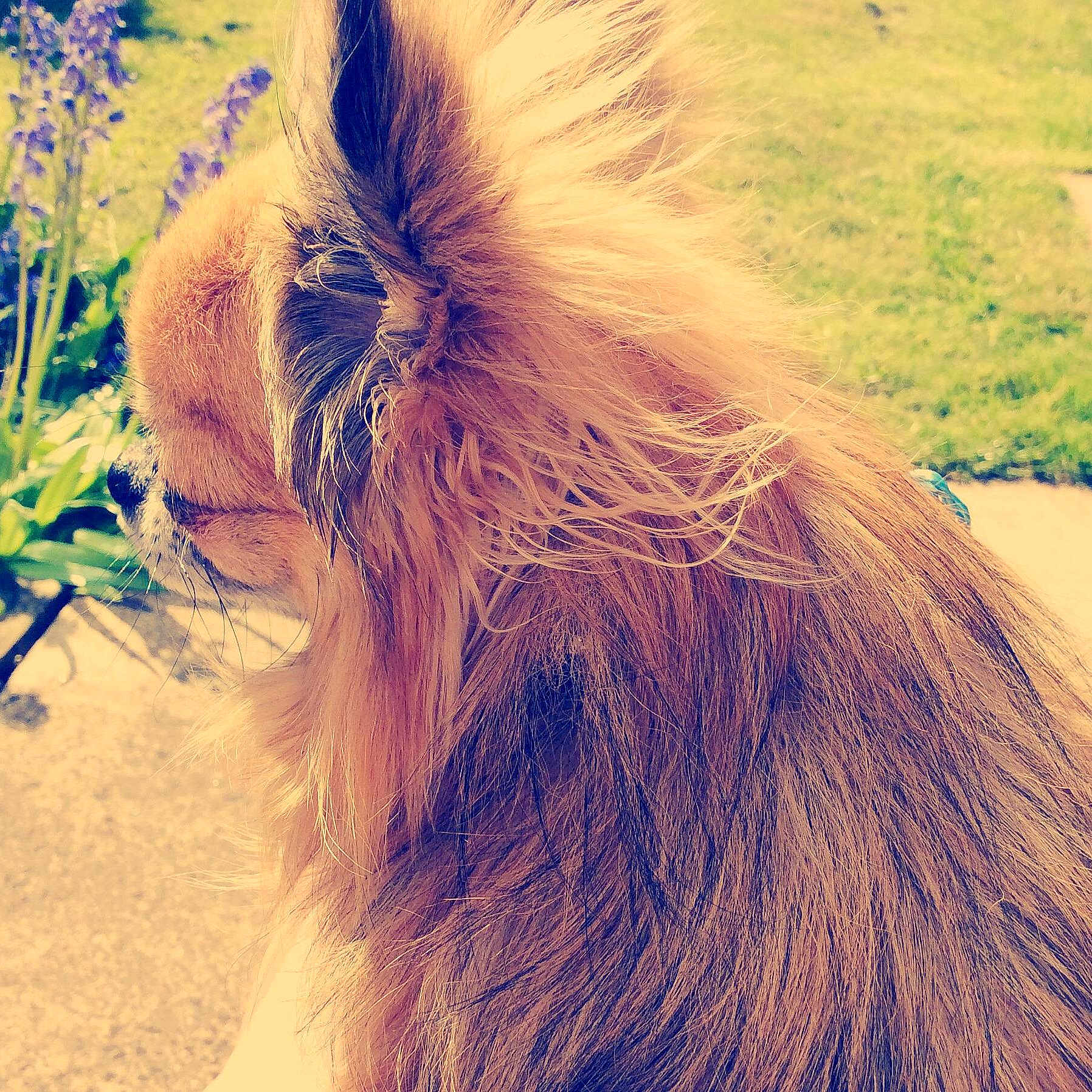 Bobby