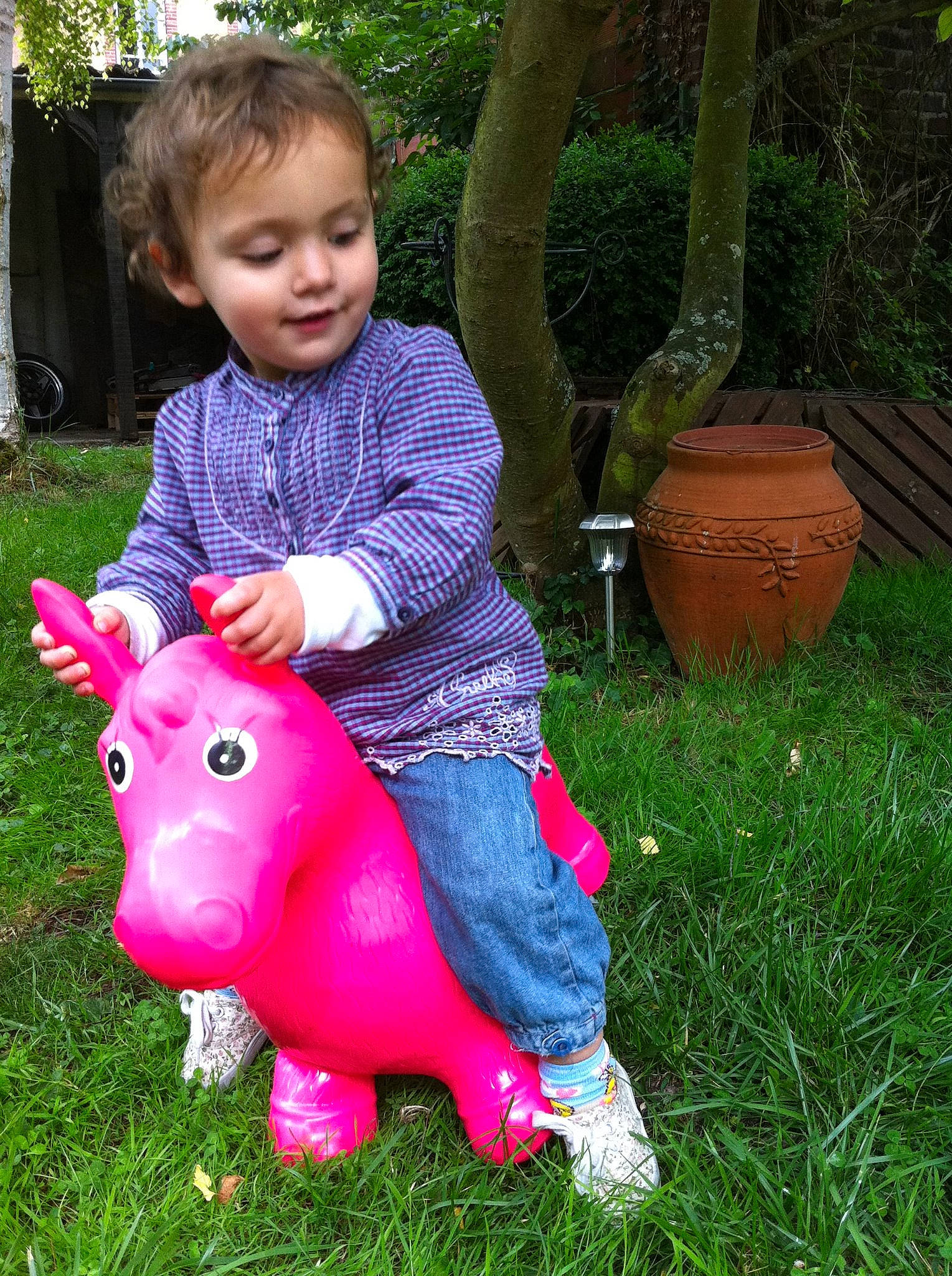 Nina participe au concours pour gagner de l'argent avec cette photo : child, garden, grass, lawn, lawn_ornament, person, pink, plant, play, toddler, toy