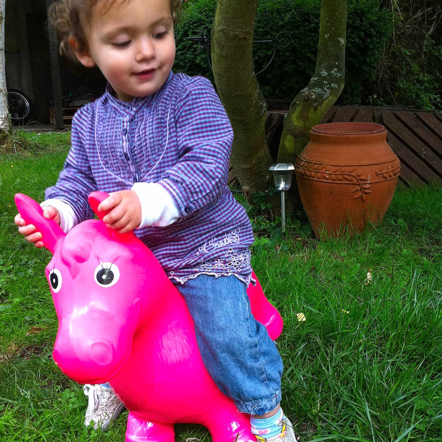 Nina participe au concours pour gagner de l'argent avec cette photo : child, garden, grass, lawn, lawn_ornament, person, pink, plant, play, toddler, toy