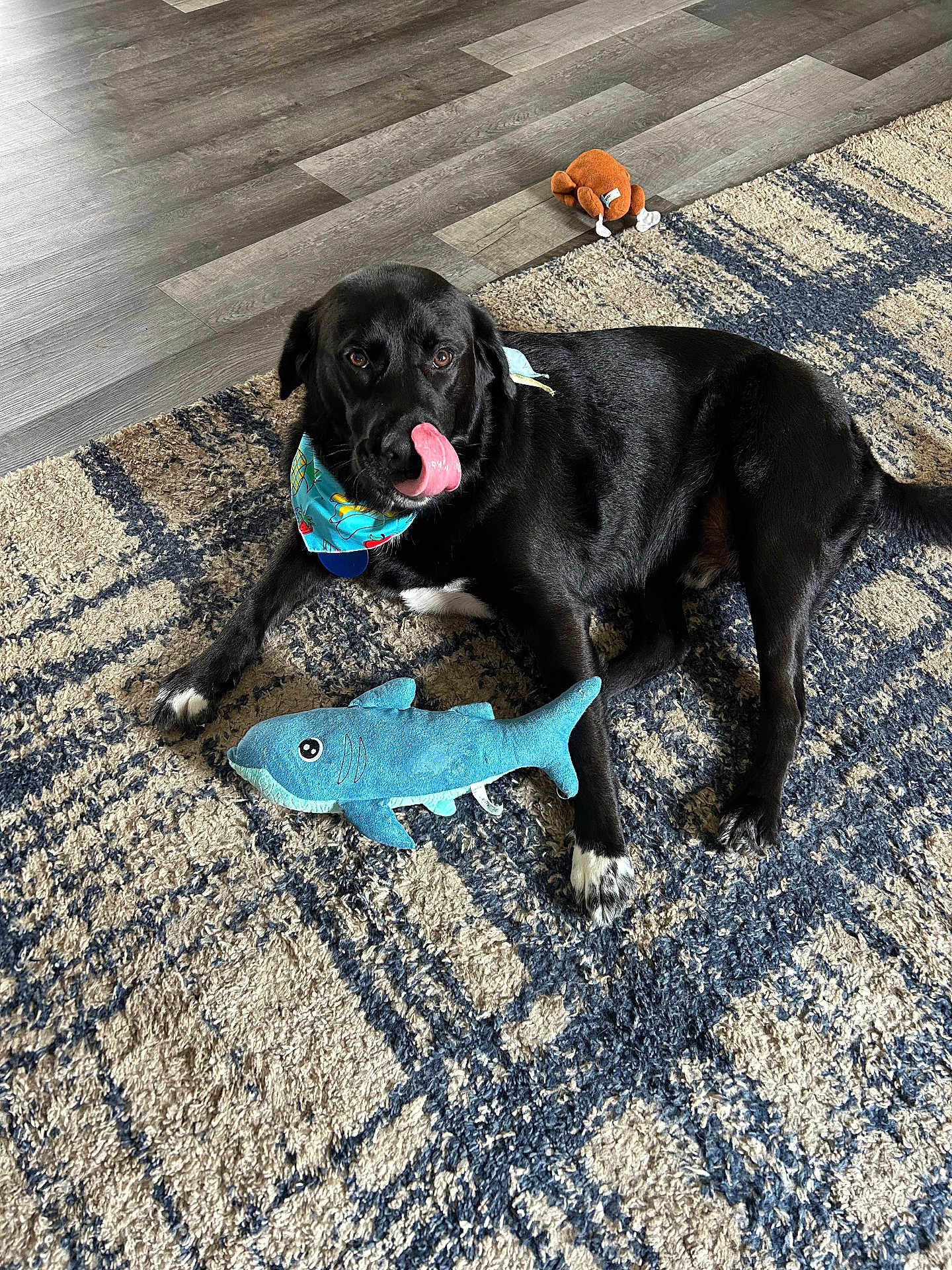Loki