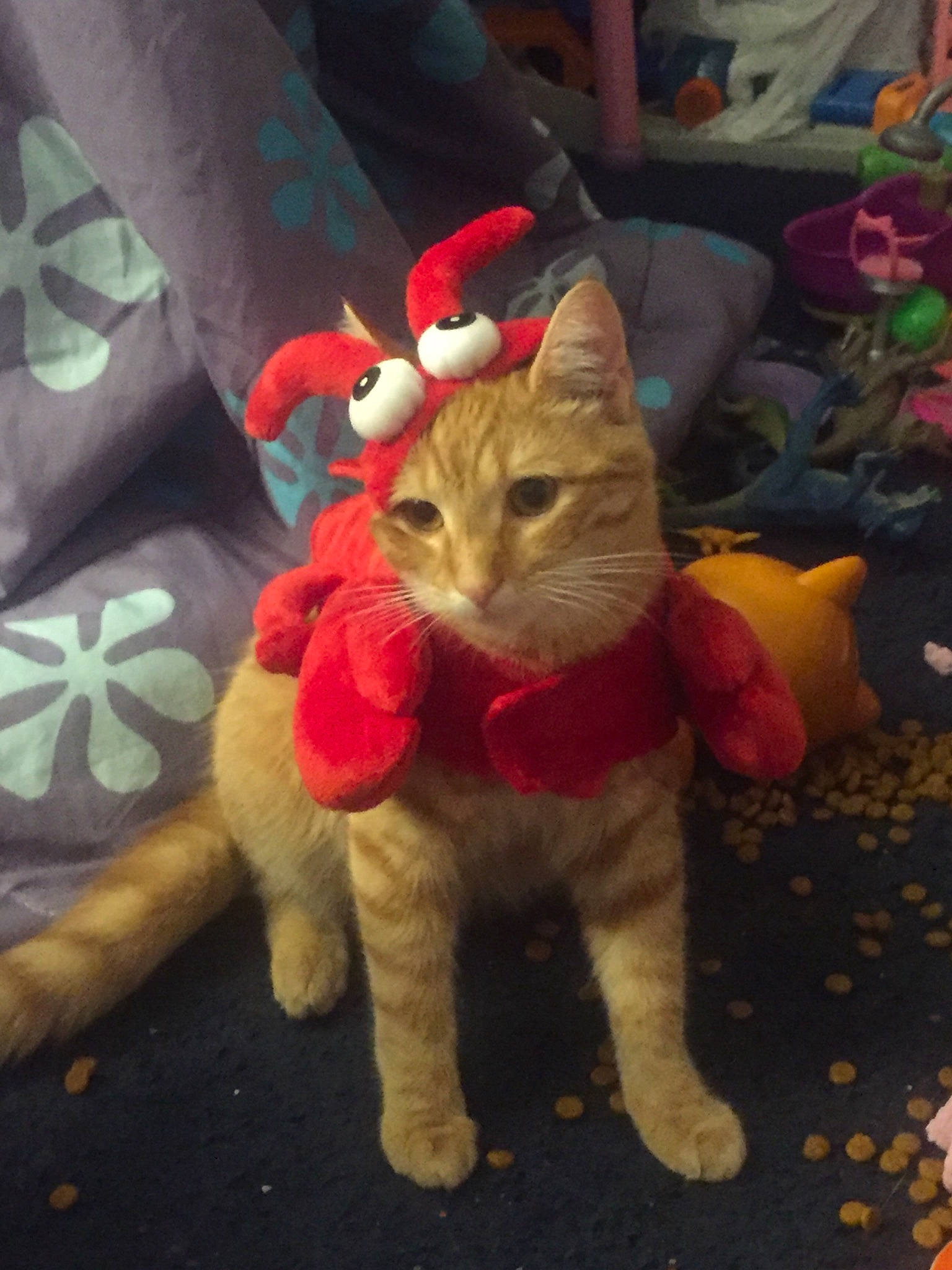 Ariel joined the competition — help win amazing prizes! art, carmine, carnivore, cat, domestic_short_haired_cat, fawn, felidae, fur, holiday, lap, paw, plant, small_to_medium_sized_cats, snout, tail, terrestrial_animal, toy, tree, whiskers, wood