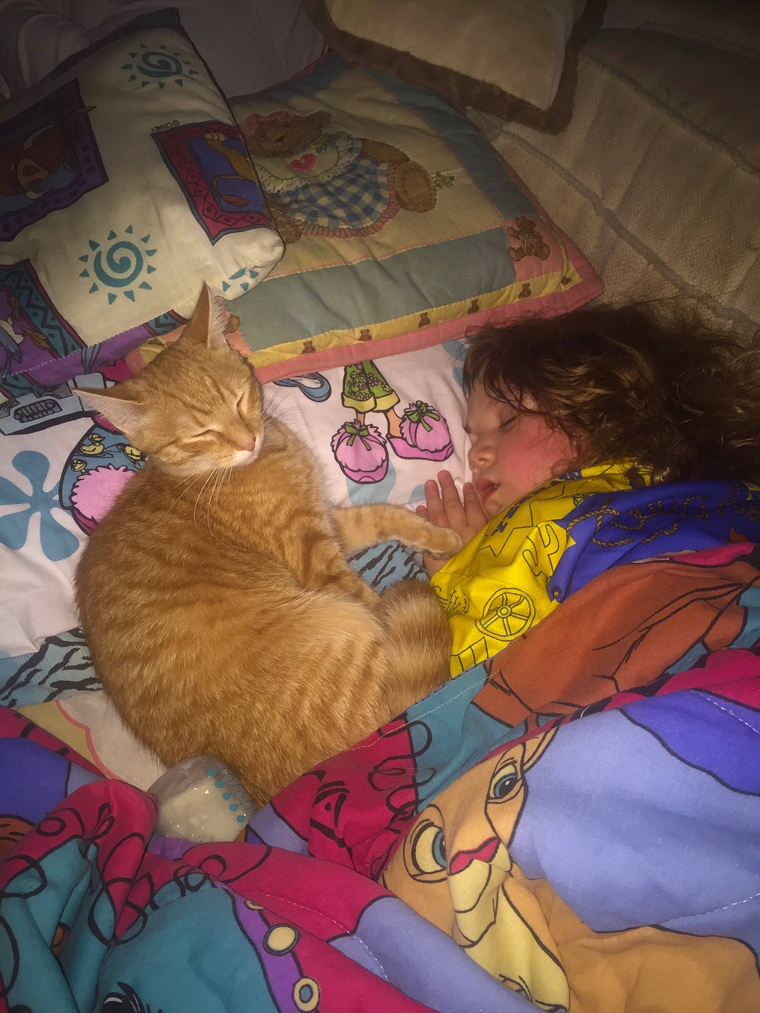 Ariel joined the competition — help win amazing prizes! art, box, carnivore, cat, child, comfort, domestic_short_haired_cat, fawn, felidae, flooring, fur, linens, nap, paw, room, small_to_medium_sized_cats, tail, toddler, visual_arts, whiskers