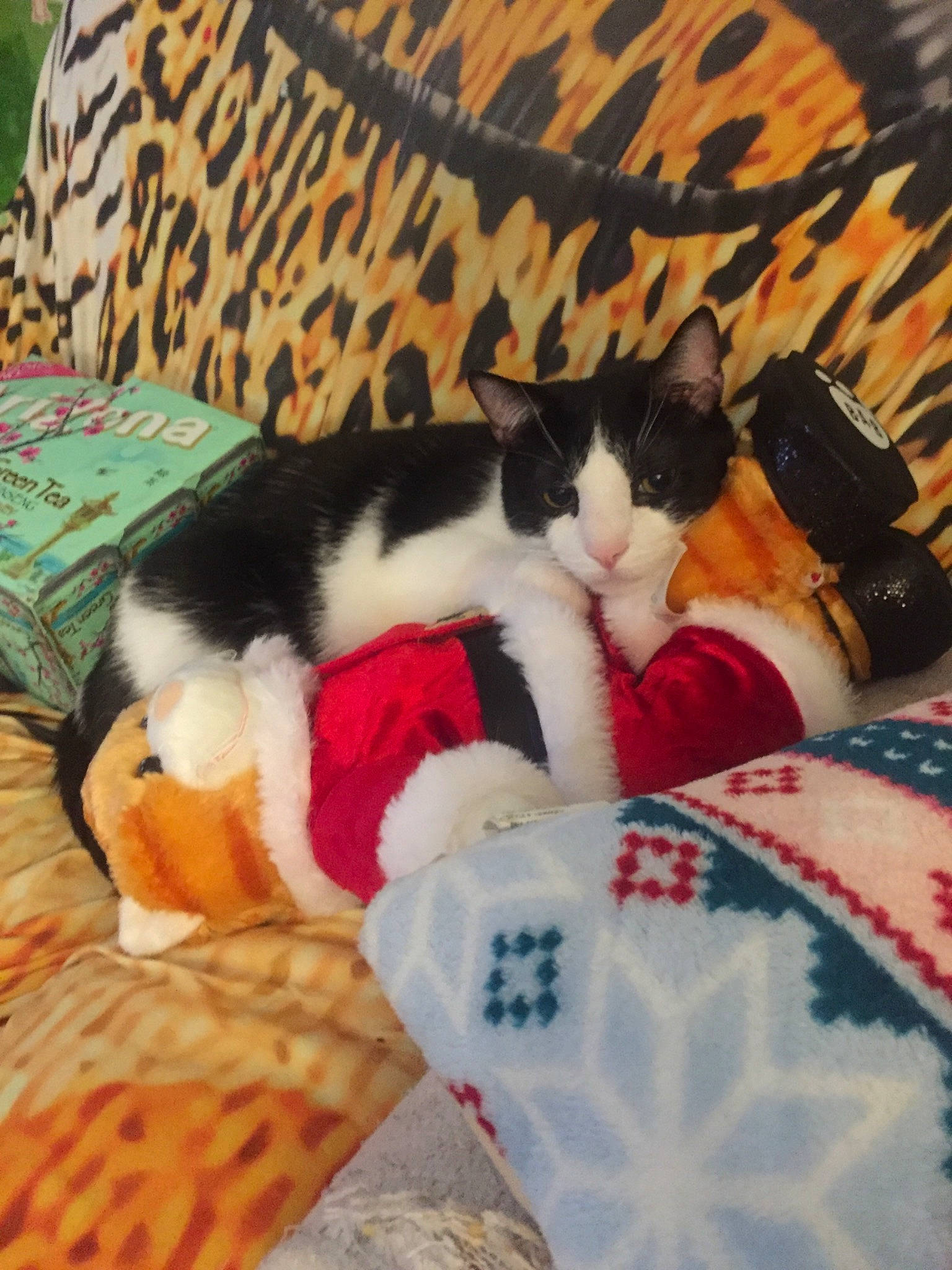 Moocow joined the competition — help win amazing prizes! bag, bedding, carmine, carnivore, cat, comfort, couch, domestic_short_haired_cat, fawn, felidae, fur, lap, linens, pattern, small_to_medium_sized_cats, tail, textile, tree, whiskers, wood