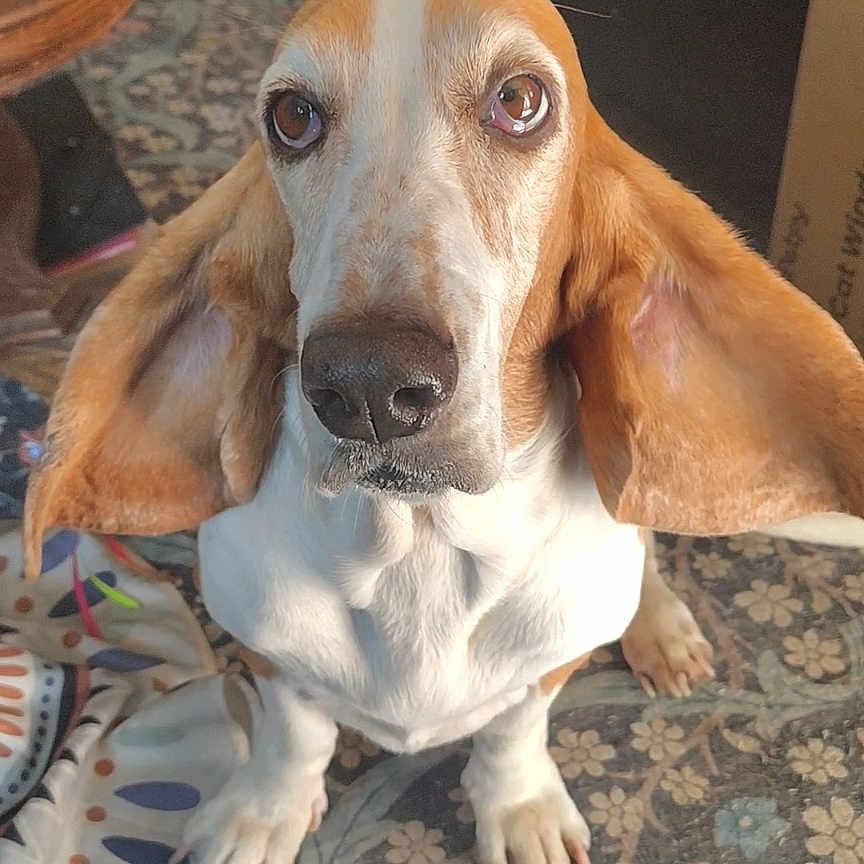 Zoey