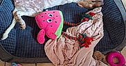 Barbie a rejoint le concours — aidez-le/la à gagner de superbes lots ! dog, bed, toy, blanket, floor, tile, indoor, relaxed, playful, pet, cozy, canine, resting, stuffed_toy, rope_toy, pink_toy, blue_toy, animal, pet_bed, home