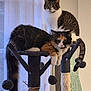 cat, cats, cat_tree, indoor, furniture, window, curtains, tabby_cat, calico_cat, pet, animal, relaxed, perched, fur, whiskers, tail, play_toys, scratching_post, domestic_cat, two_cats
