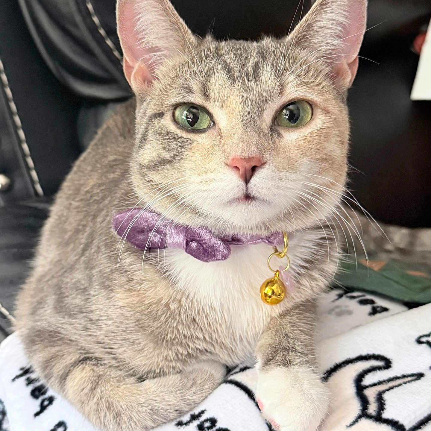 Lilly