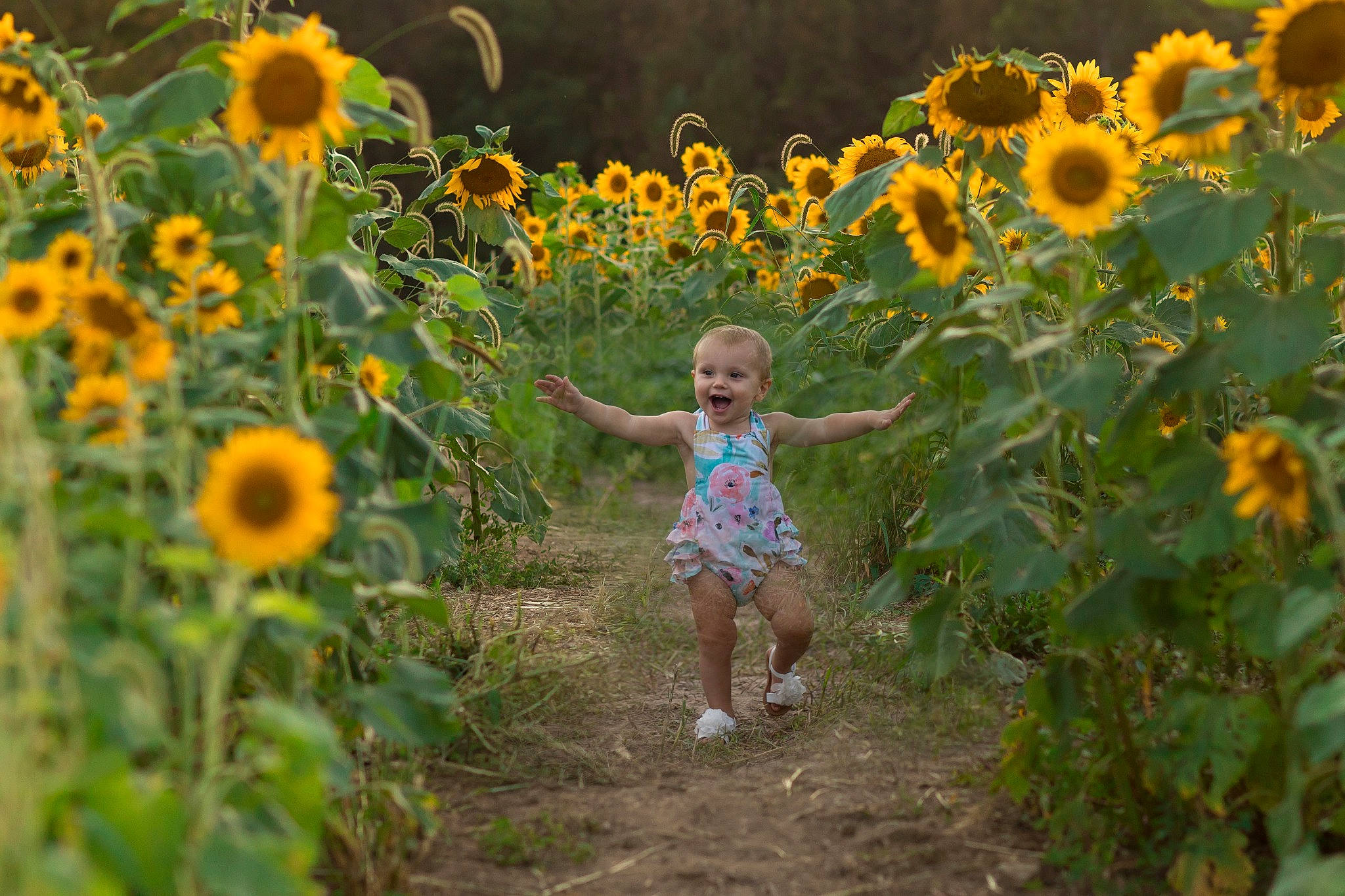 Nora Jean joined the competition — help win amazing prizes! asterales, child, daisy_family, field, flower, flowering_plant, happy, joy, meadow, nature, people_in_nature, person, plant, pollen, prairie, sky, summer, sunflower, sunlight, wildflower