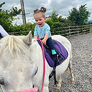 Tilly is registered to the contest to win money with this photo: adult, animal, child, clothing, colthorse, face, female, girl, grass, head, horse, nature, outdoors, pants, person, photography, plant, portrait, tree, vegetation