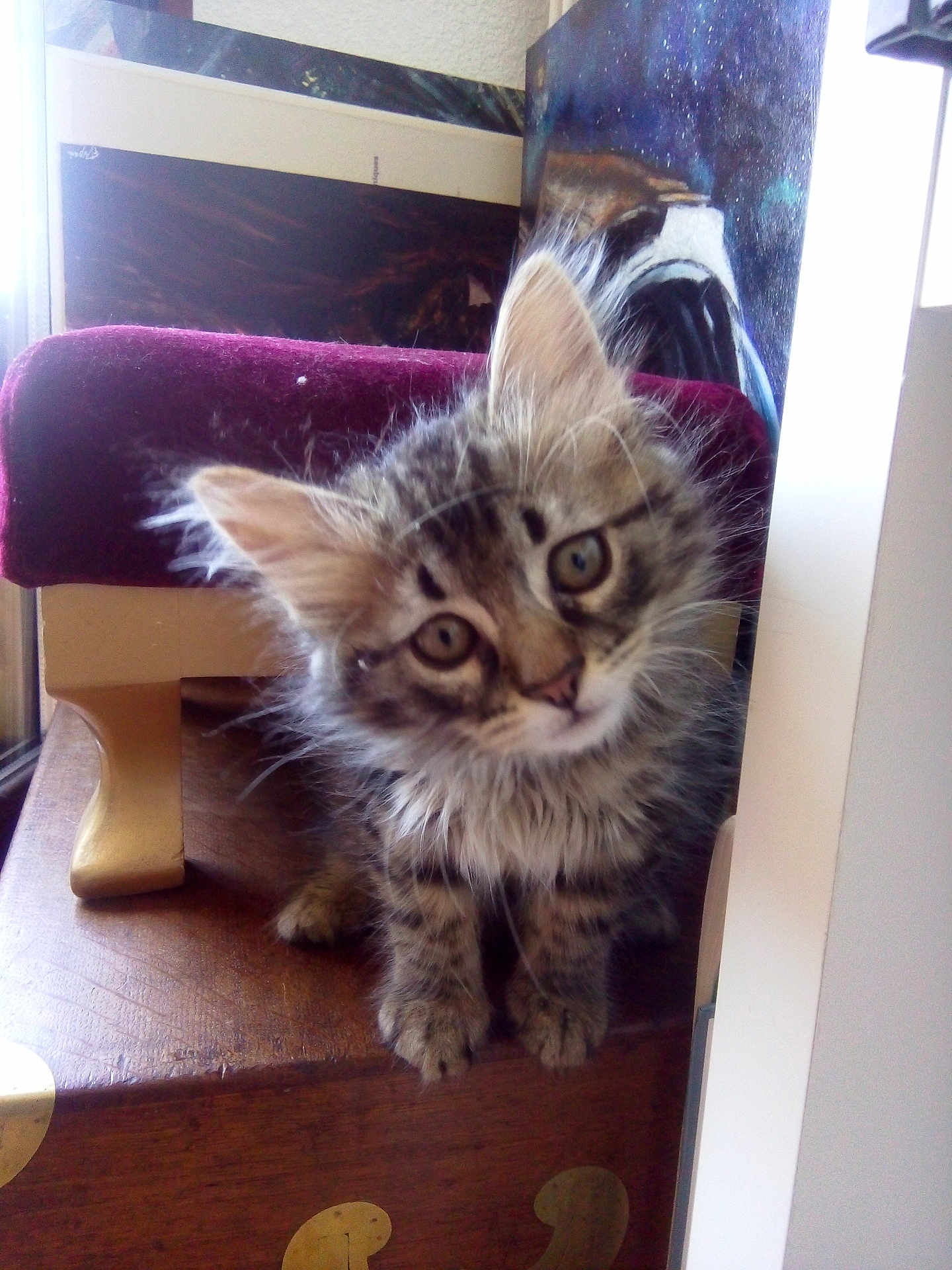 Zeus