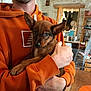 casual, cute, dog, ear, face, furniture, hand, holding, home, hoodie, indoor, orange_clothing, person, pet, puppy, shelf, stone_wall, table, warm, young_dog