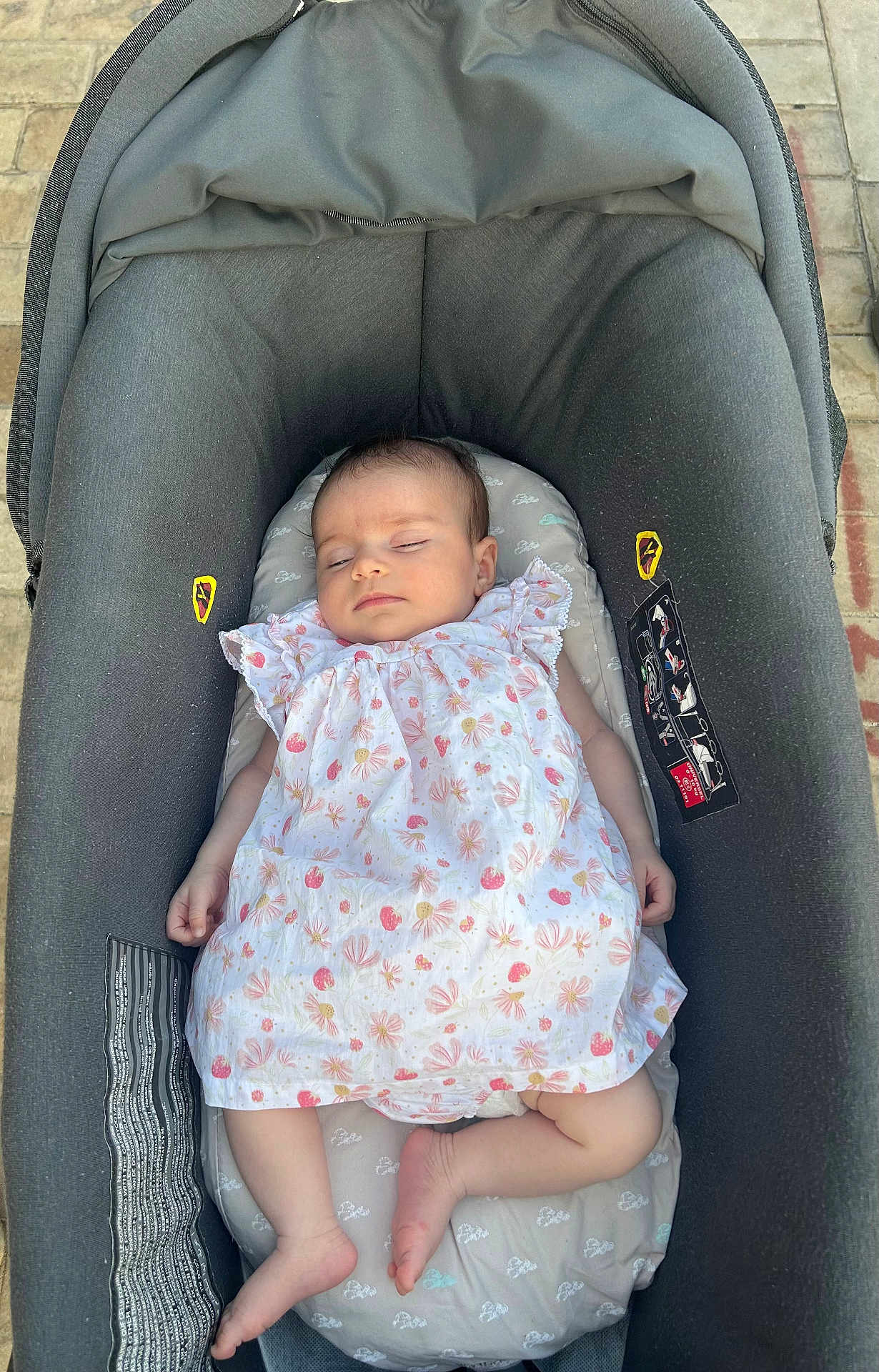 Jade a rejoint le concours — aidez-le/la à gagner de superbes lots ! baby, infant, sleeping, dress, floral, baby_carrier, gray, outdoor, pavement, footwear_none, child, peaceful, relaxing, person, cute, small, skin, head, arms, legs