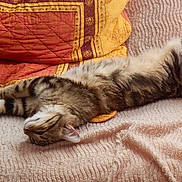 Dakota participe au concours pour gagner de l'argent avec cette photo :
