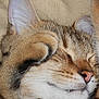 Dakota participe au concours pour gagner de l'argent avec cette photo :