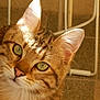 Dakota participe au concours pour gagner de l'argent avec cette photo :