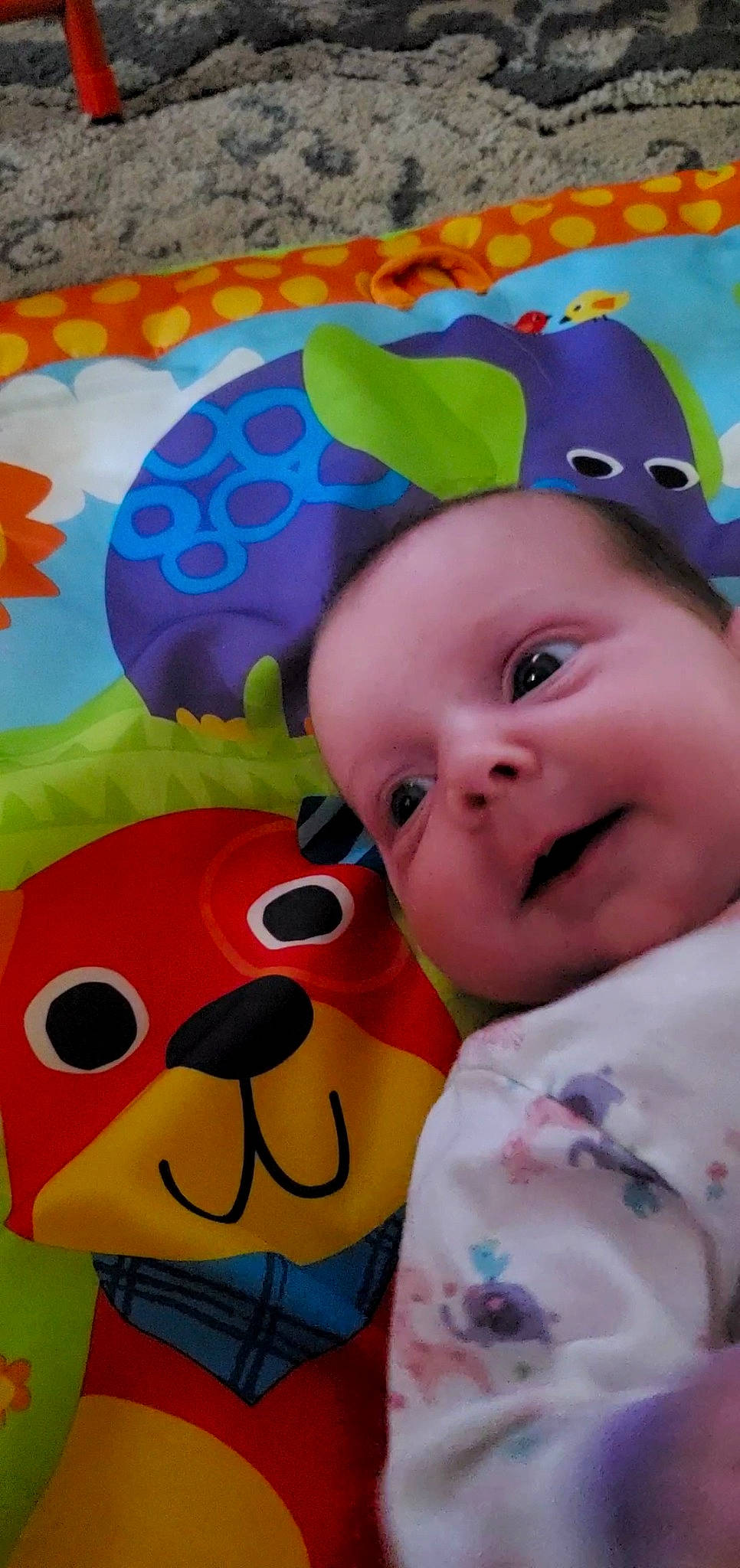 Danielle is registered to the contest to win money with this photo: baby, baby_toddler_clothing, cheek, child, eye, facial_expression, fun, happy, head, iris, nose, organ, pattern, people, person, skin, smile, snapshot, textile, toddler