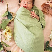 Katherine joined the competition — help win amazing prizes! baby, blanket, cushion, face, flower, head, homedecor, leaf, newborn, people, person, petal, photography, plant, portrait, rose, sleeping, yawning