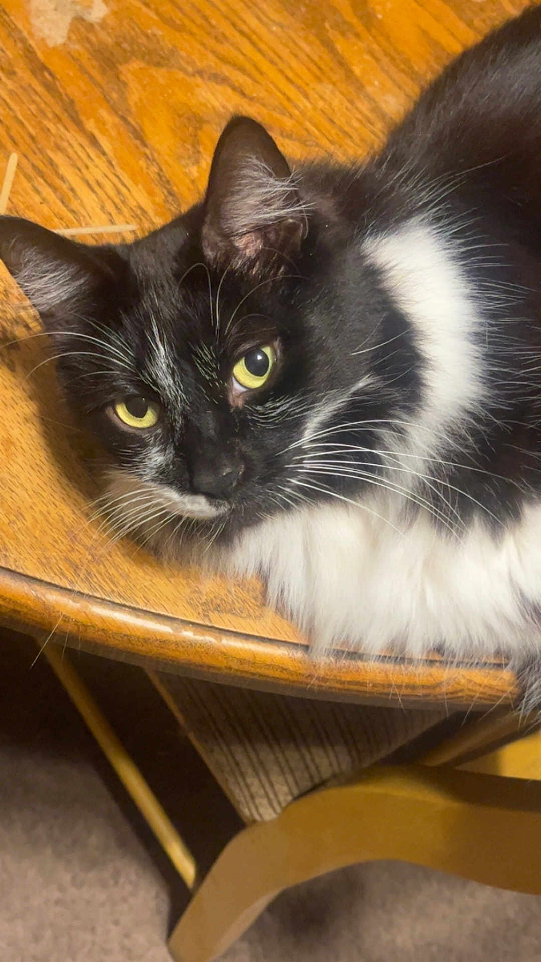 Boo