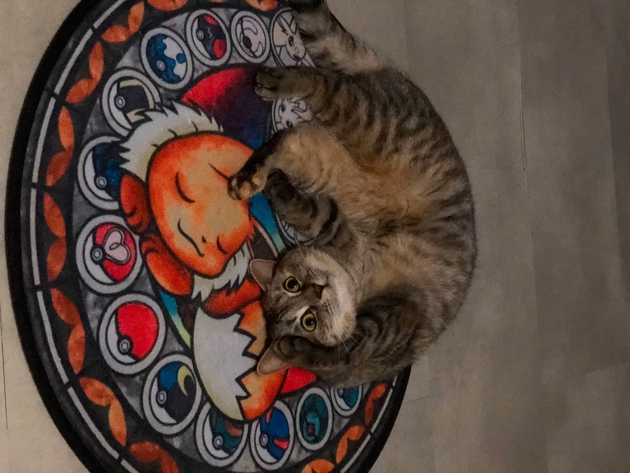 Pika a rejoint le concours — aidez-le/la à gagner de superbes lots ! art, big_cats, carnivore, cat, cat_toy, circle, claw, dishware, domestic_short_haired_cat, felidae, fur, paw, serveware, small_to_medium_sized_cats, snout, tail, terrestrial_animal, tiger, whiskers, wildlife