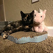 Tequila is registered to the contest to win money with this photo: cat, tortoiseshell_cat, plush_toy, unicorn, scratch_pad, carpet, indoor, wall, power_outlet, pet, feline, stuffed_animal, relaxing, cozy, home, animal, toy, soft, resting, cute