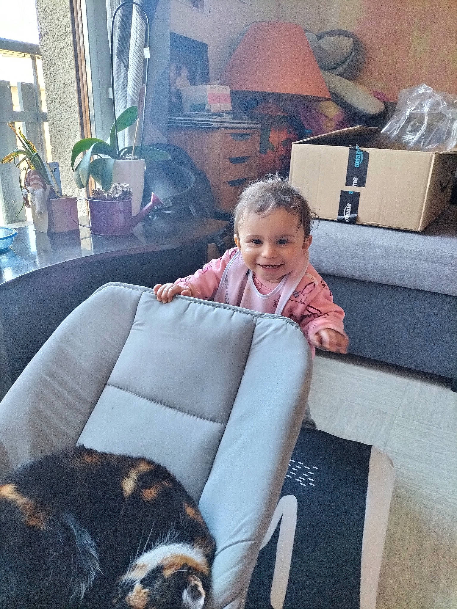 Cassandra participe au concours pour gagner de l'argent avec cette photo : baby, black, box, cat, comfort, companion_dog, couch, felidae, fur, furniture, happy, houseplant, joy, lap, living_room, person, room, shipping_box, sitting, smile